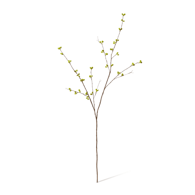 Bean Branch - 40 x 40 x 129cm color Green
