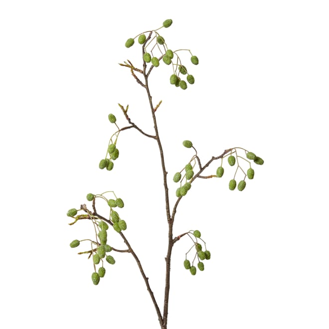 Catkins Spray - 30 x 25 x 96cm 