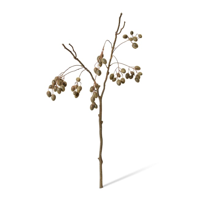Barberry Branch - 30 x 20 x 85cm
