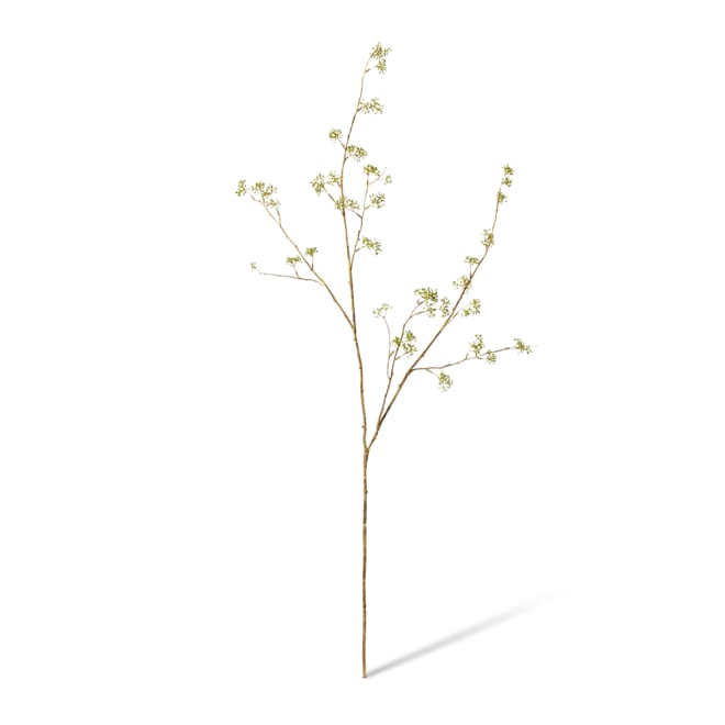 Seeding Eucalyptus Branch Green Brown - 35 x 30 x 132cm color Green Brown