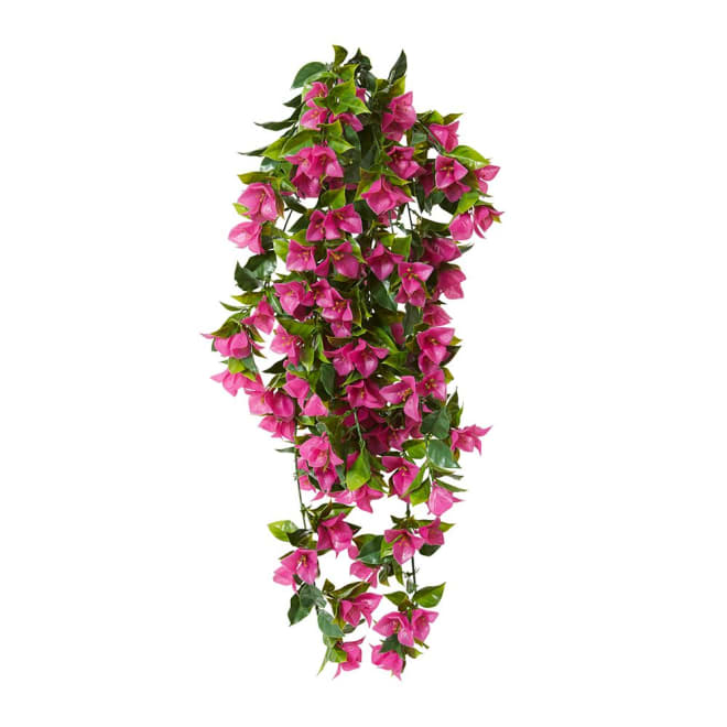 Bougainvillea (Outdoor) Hanging - 30 x 30 x 92cm color Hot Pink