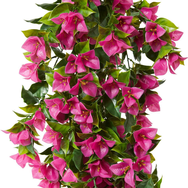 Bougainvillea (Outdoor) Hanging - 30 x 30 x 92cm color Hot Pink