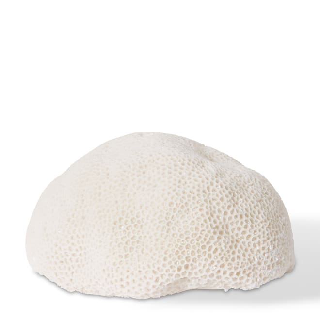 Coral Lamp Starlet - 35 x 31 x 18cm