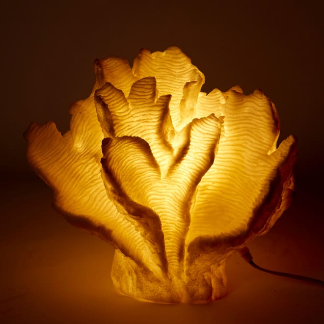 Coral Lamp Leaf - 34 x 24 x 30cm 