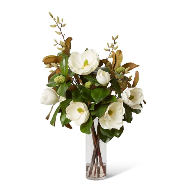 Magnolia Classic  - 100 x 68 x 60cm color White/Clear