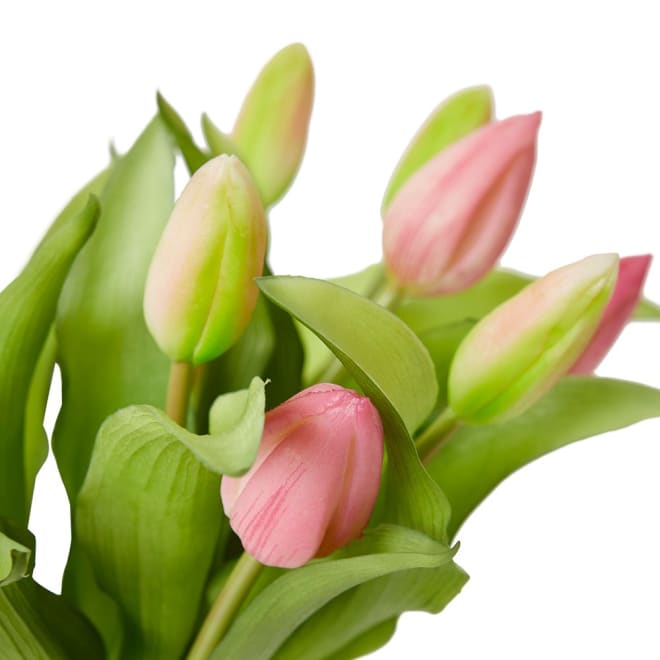 Tulip Bud Pink - 23 x 23 x 31cm color Pink/Clear