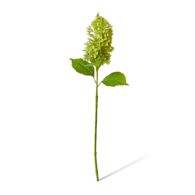 Cone Hydrangea  - 20 x 20 x 75cm color Green
