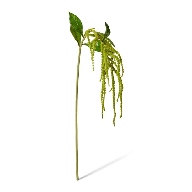 Amaranthus Spray - 18 x 15 x 114cm color Green