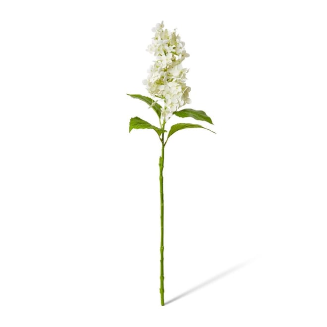 Cone Hydrangea  - 20 x 20 x 75cm color White