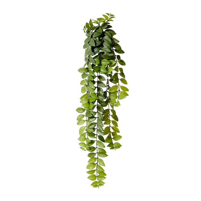 Honey Locust Hanging Bush - 26 x 20 x 86 cm