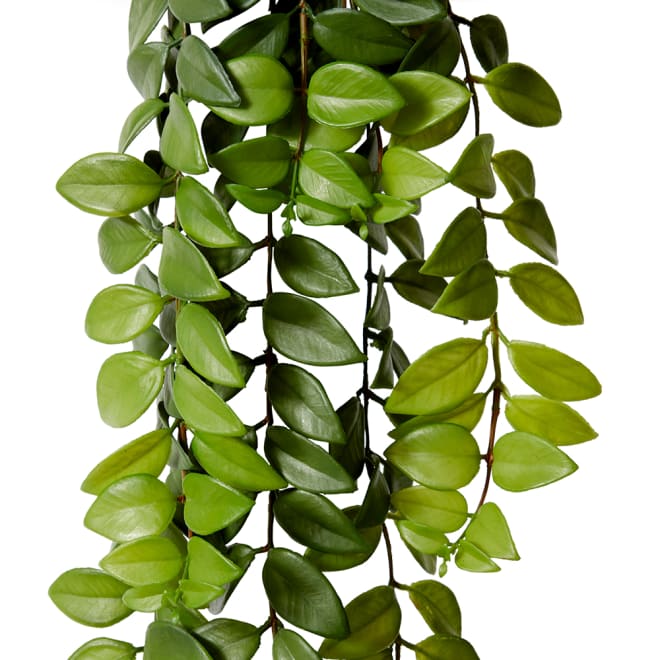 Honey Locust Hanging Bush - 26 x 20 x 86 cm 