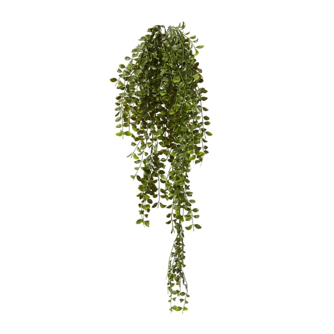 Ruscus Hanging Bush (Outdoor) - 30 x 22 x 86cm