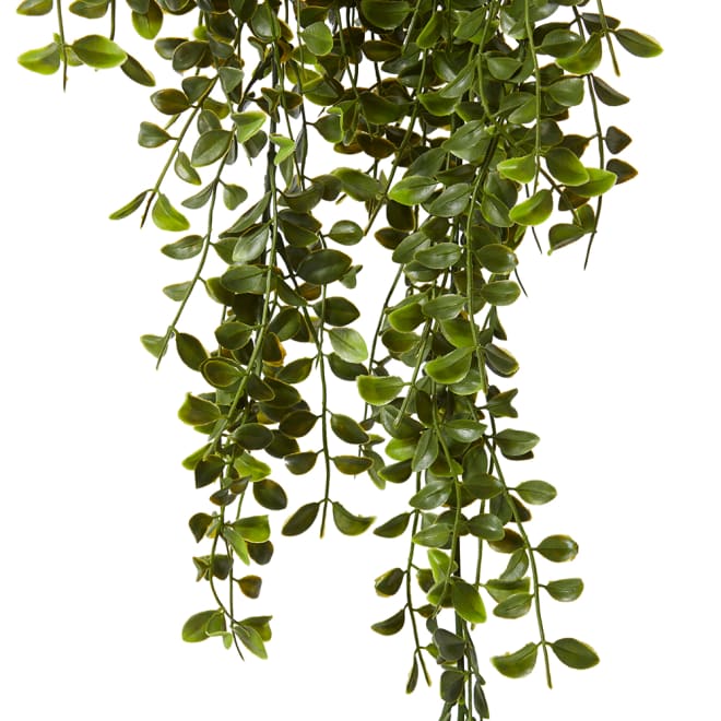 Ruscus Hanging Bush (Outdoor) - 30 x 22 x 86cm 