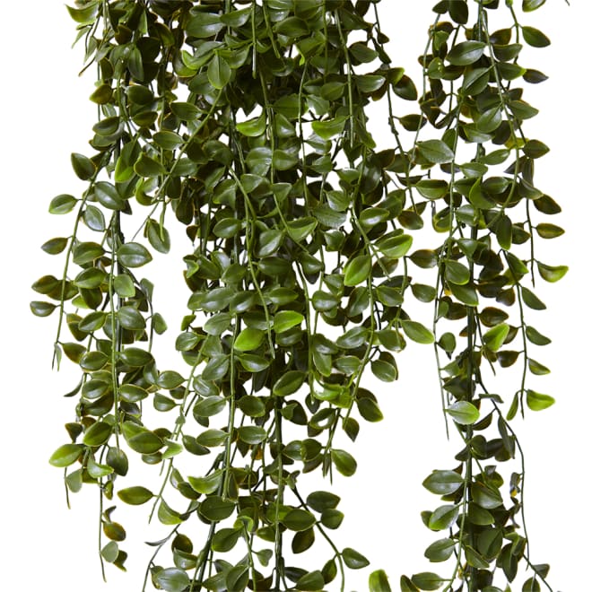 Ruscus Hanging Bush (Outdoor) - 24 x 20 x 122cm 
