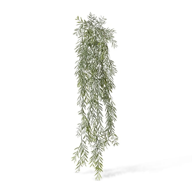 Acacia Hanging Bush - 28 x 14 x 110cm