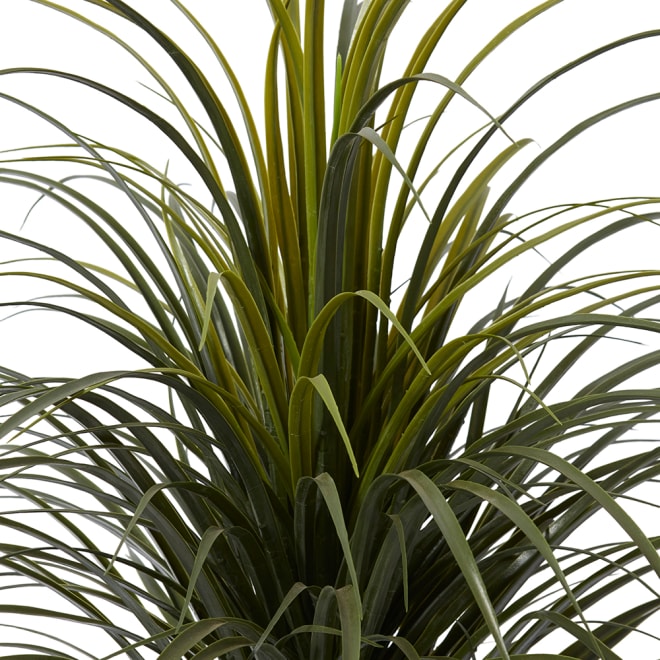 Yucca Plant Potted (Outdoor) - 70 x 70 x 90cm 