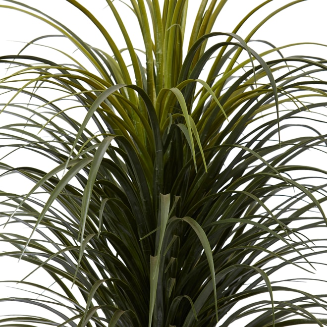 Yucca Plant Potted (Outdoor) - 80 x 80 x 105cm 