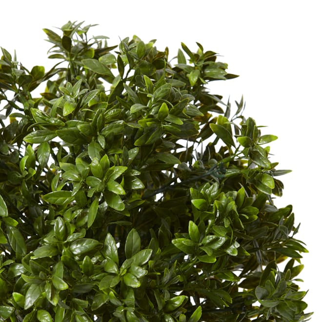 Topiary Hazel Leaf Potted (Outdoor) - 36 x 36 x 51cm 