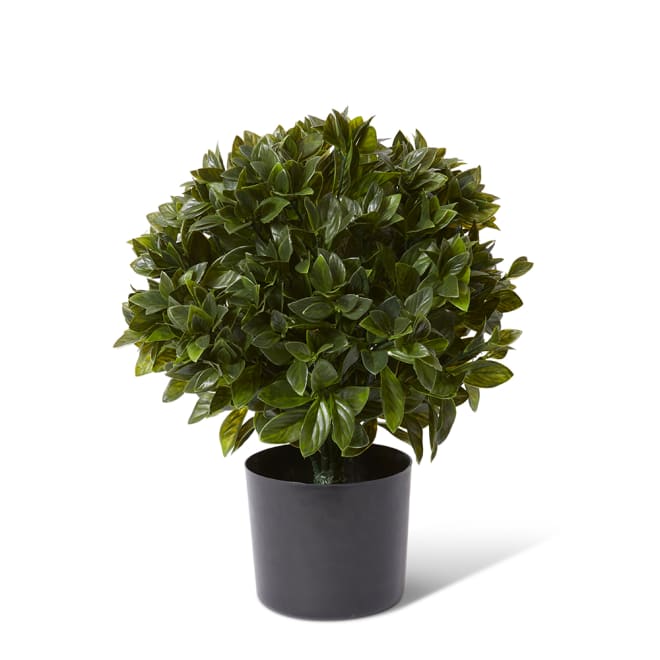 Topiary Gloxinia Potted (Outdoor) - 30 x 30 x 51cm 