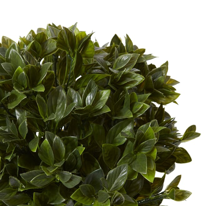 Topiary Gloxinia Potted (Outdoor) - 30 x 30 x 51cm 