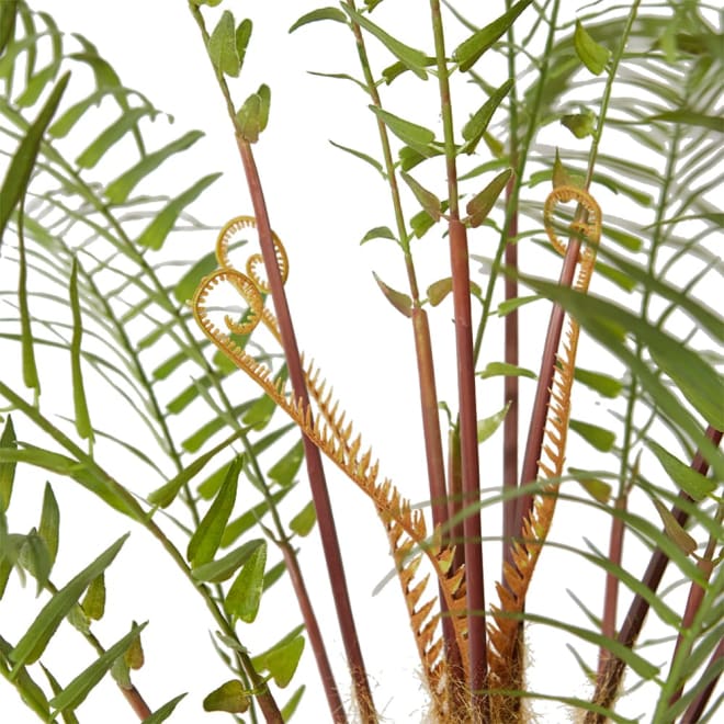 Fern Forest Green -  x  x 140cm color Green