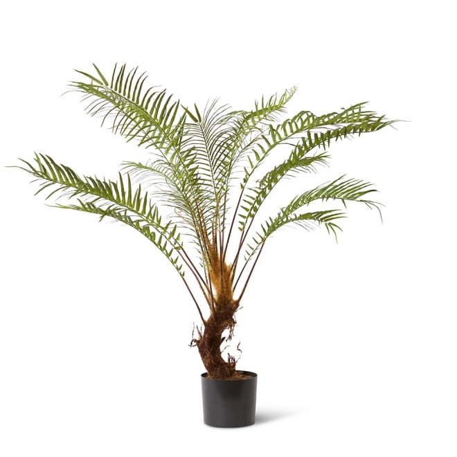 Fern Forest Green -  x  x 140cm color Green