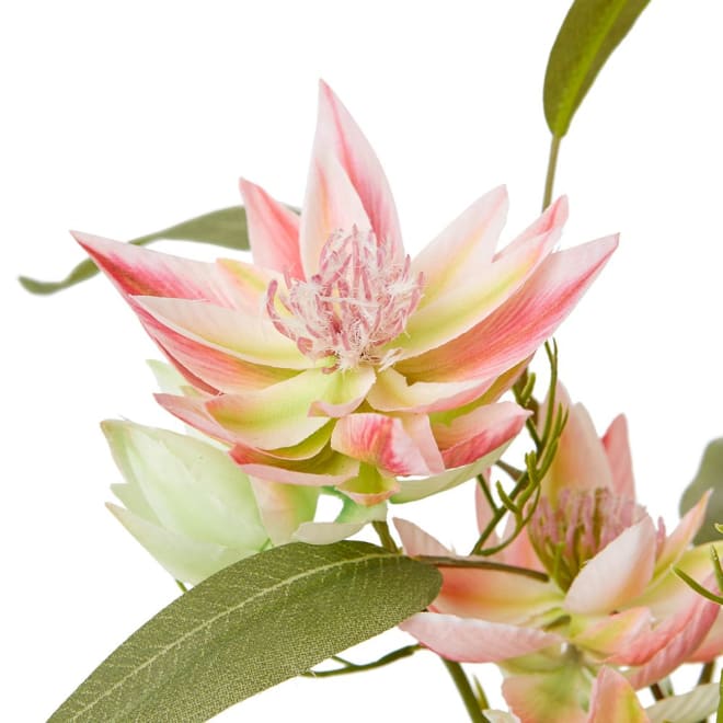 Blushing Bride Pink - 25 x 20 x 20cm color Pink/Clear