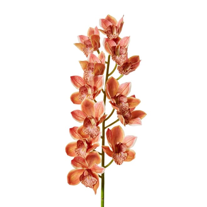 Cymbidum Grand Orchid - 20 x 20 x 95cm color Dark Orange
