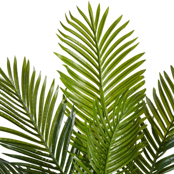 Palm Areca - 85 x 85 x 137cm color 68194202