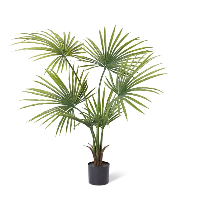 Kwai Palm (Outdoor) - 90 x 90 x 130cm