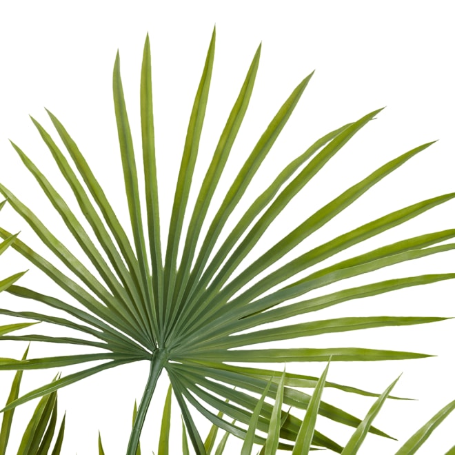Kwai Palm (Outdoor) - 90 x 90 x 130cm 
