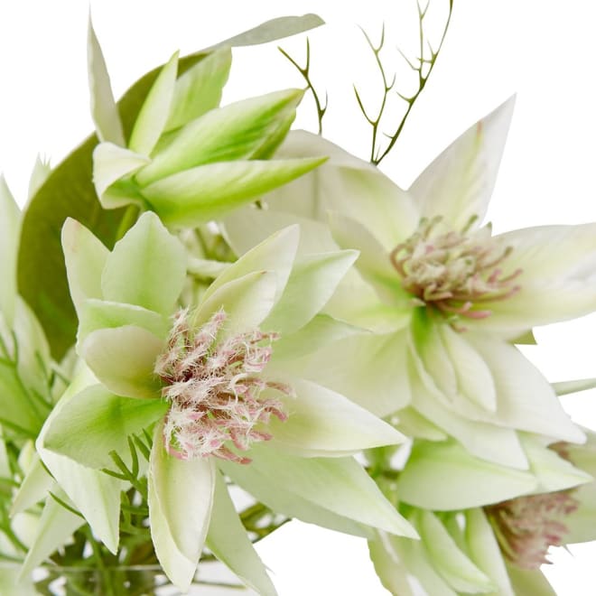 Blushing Bride White - 26 x 21 x 21cm color White/Clear