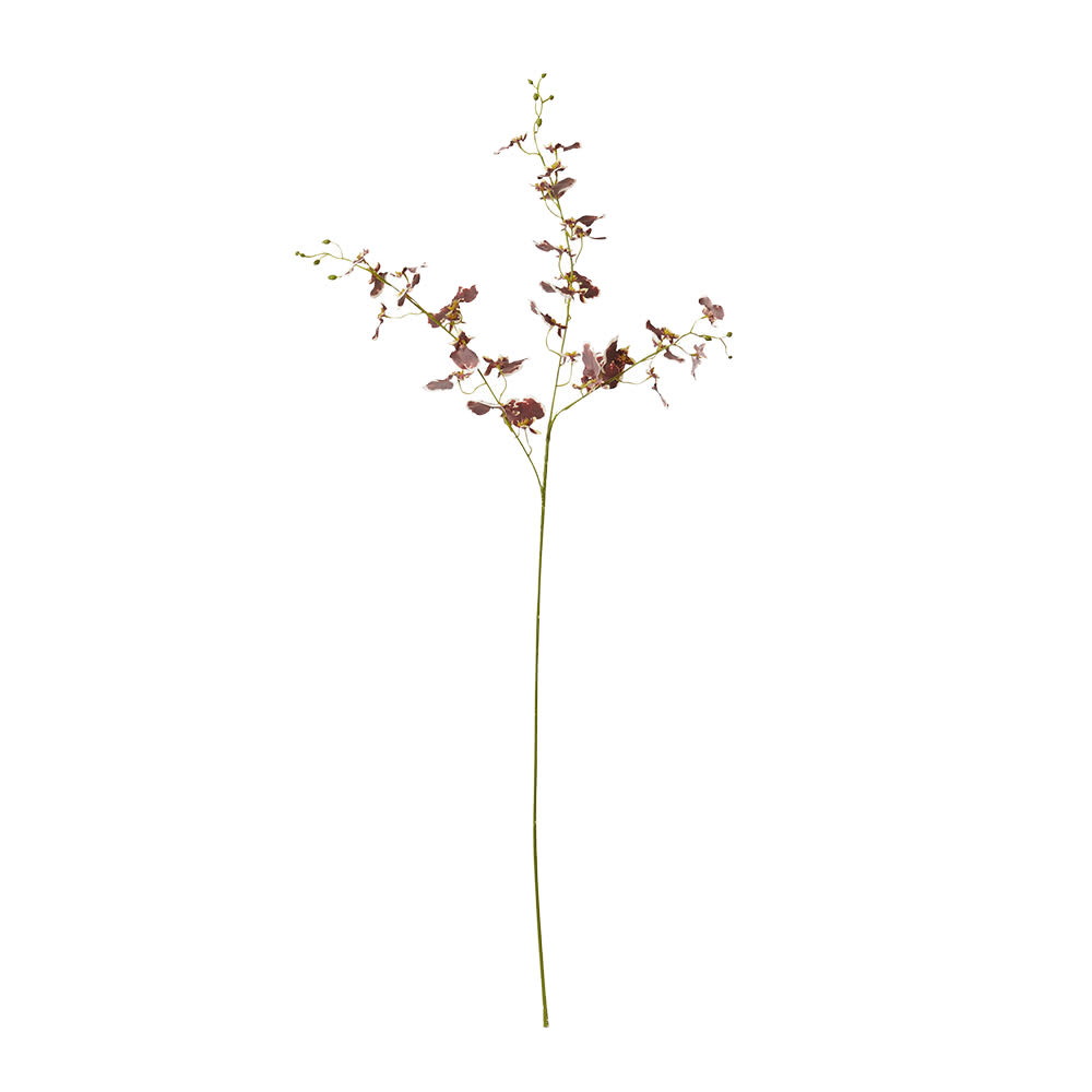 Dancing Orchid Spray Burgundy - 97 cm color Burgundy