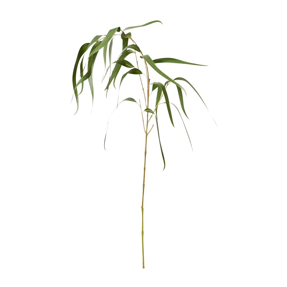 Eucy Gum Spray - 58 x 40 x 96cm color Green