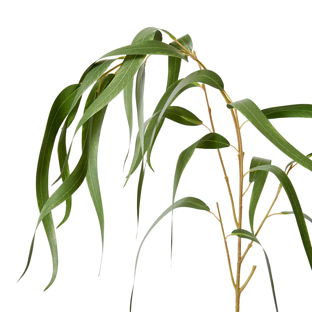 Eucy Gum Spray - 58 x 40 x 96cm color Green