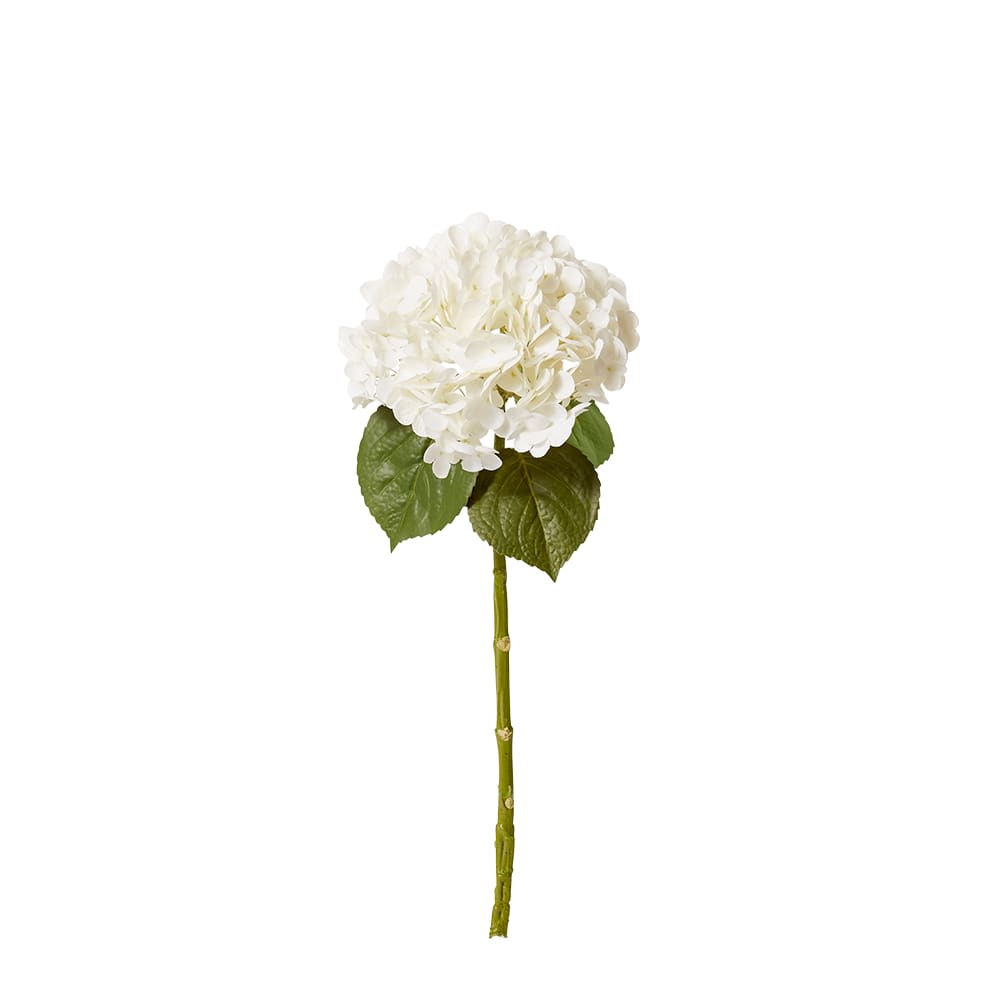 Hydrangea Classic Stem (Fresh Touch) - 30 x 20 x 52cm color White