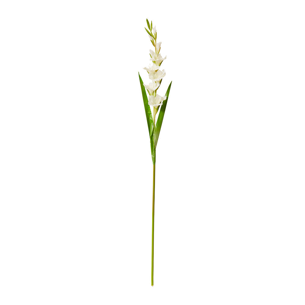 Gladiolus Stem - 13 x 8 x 106cm color 68194202