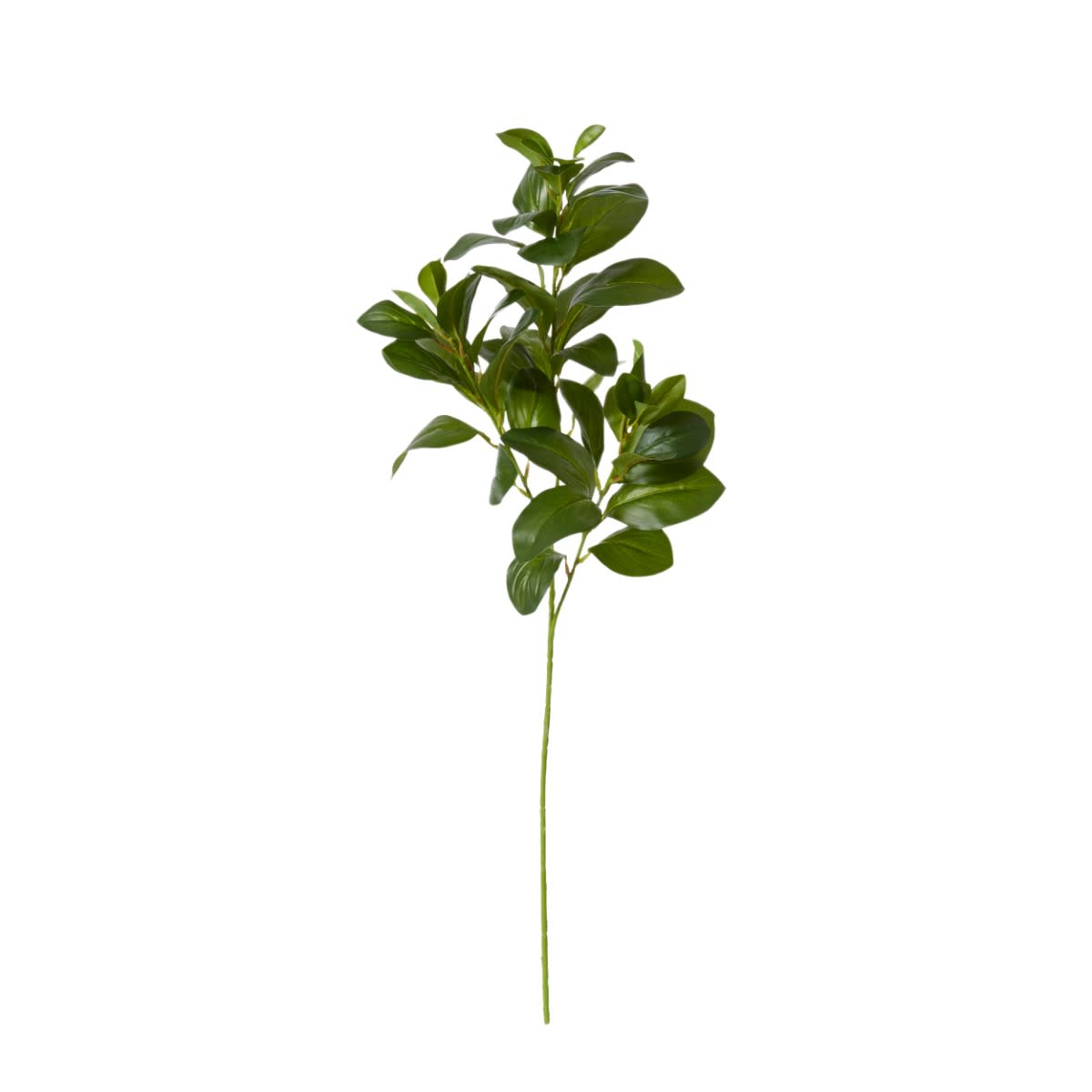 Lush Leaf Spray Green color 68194202