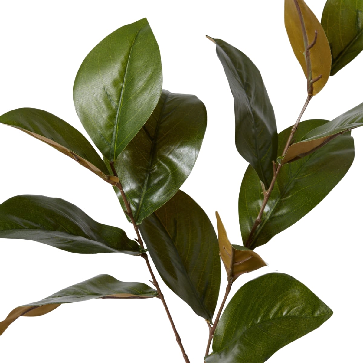 Magnolia Leaf Spray - 25 x 16 x 76cm color Green