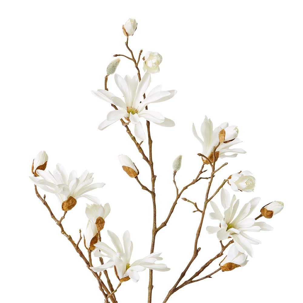 Magnolia Japanese Spray - 36cm x 28cm x 104cm color White