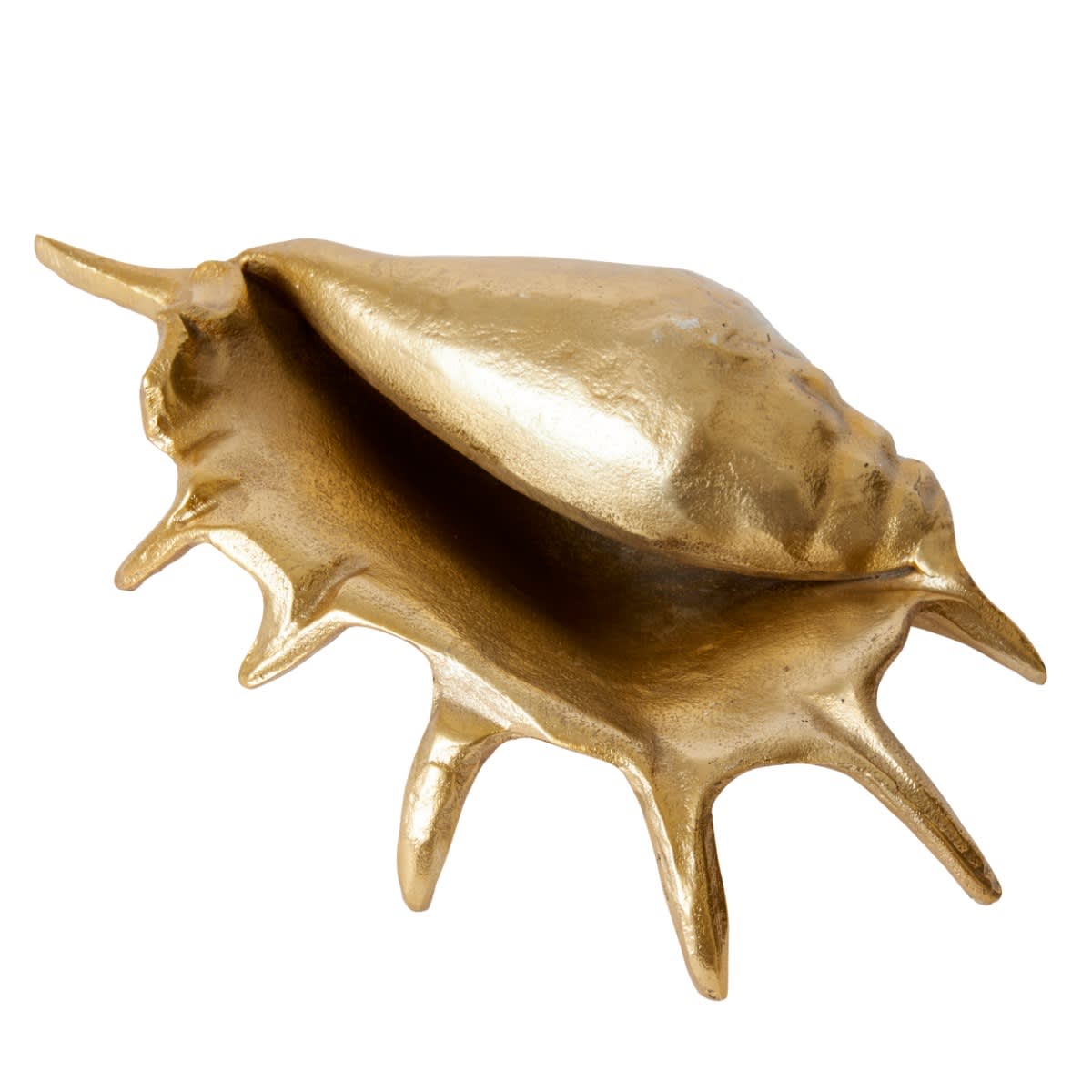 Murex Shell Sculpture - 33cm x 19cm color Gold