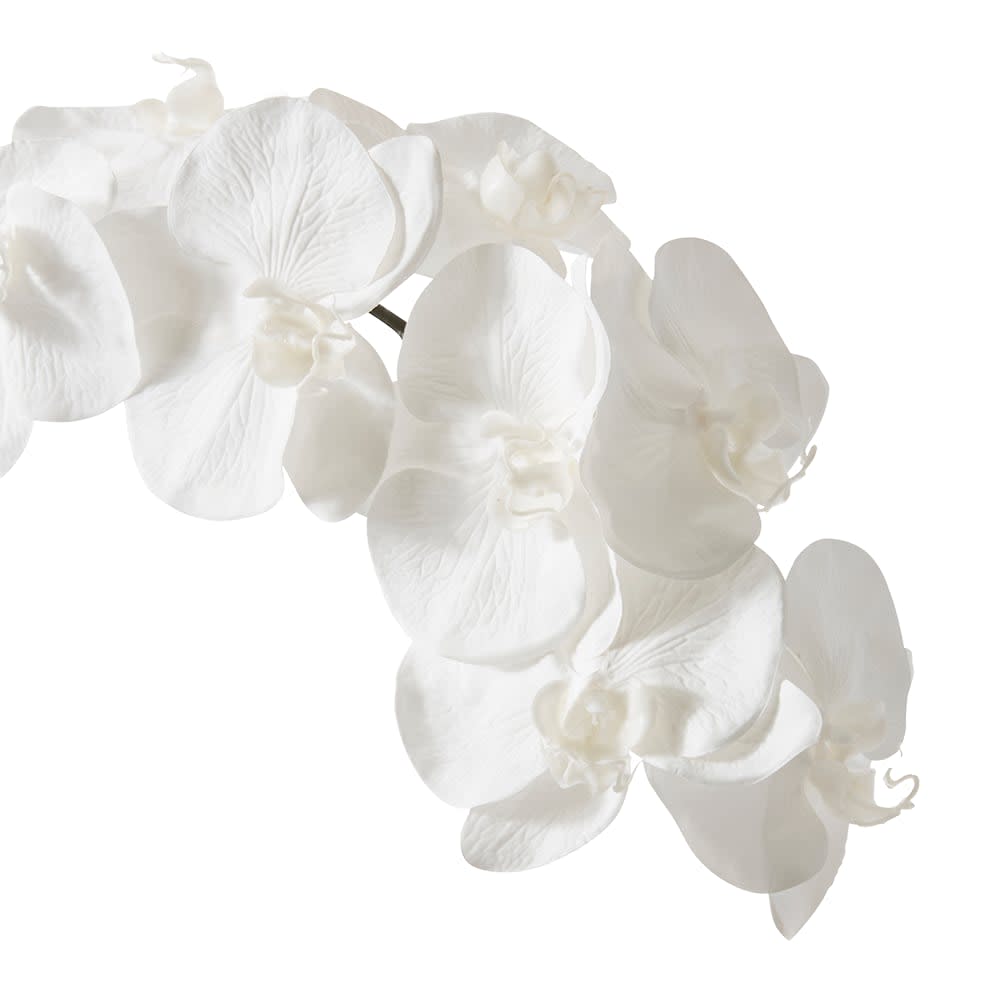 Phalaenopsis Orchid Stem - 95 cm color White