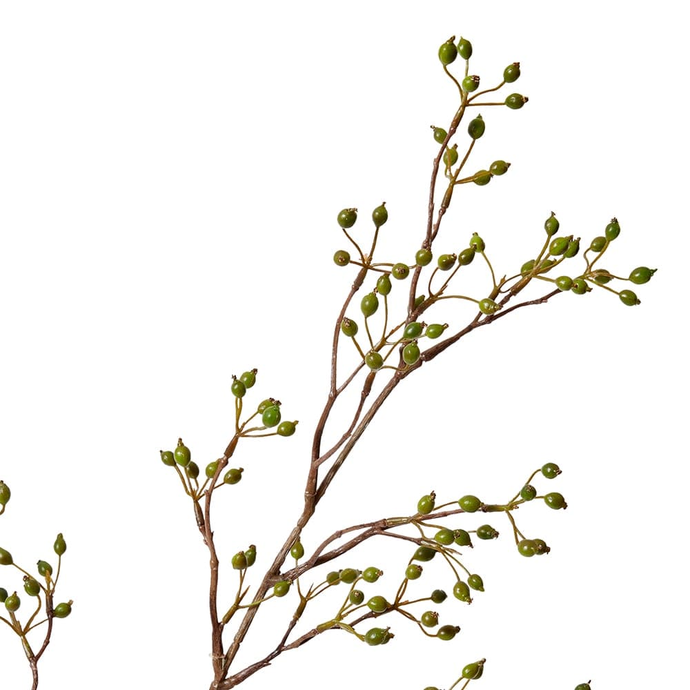Rosehip Mini Spray - 18 x 8 x 99cm color Green