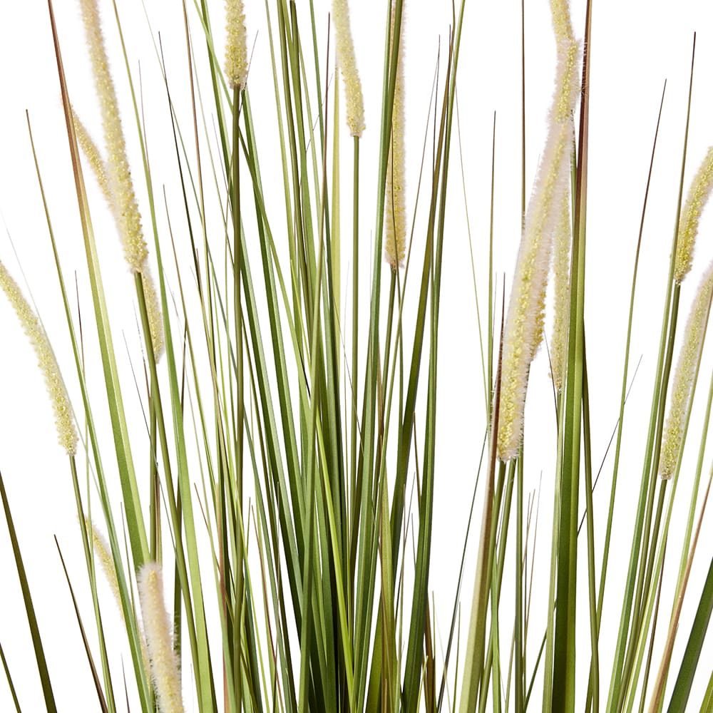 Fox Tail Grass Green/White - 70cm x 70cm x 170cm color Green