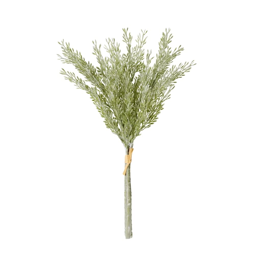 Dusty Miller Bundle Sage - 40cm color Sage