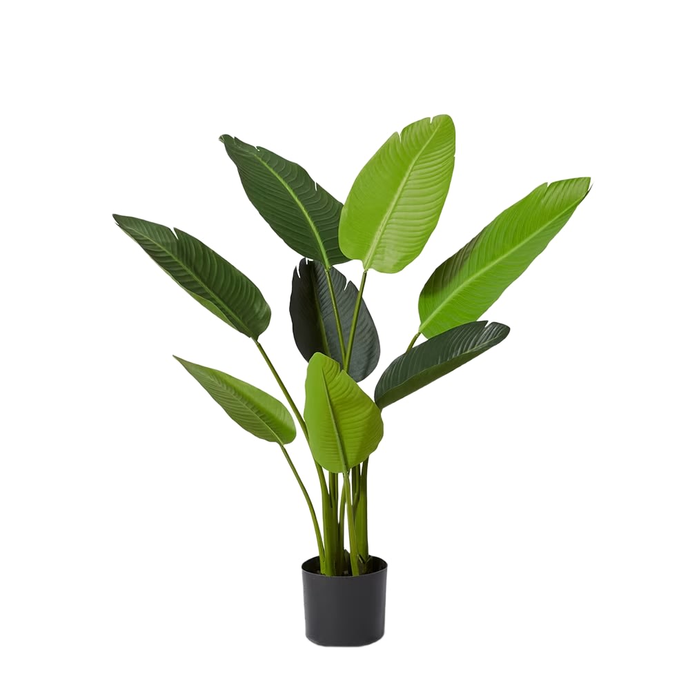 Bird of Paradise Potted Plant Green - 78cm x 78cm x 122cm color Green