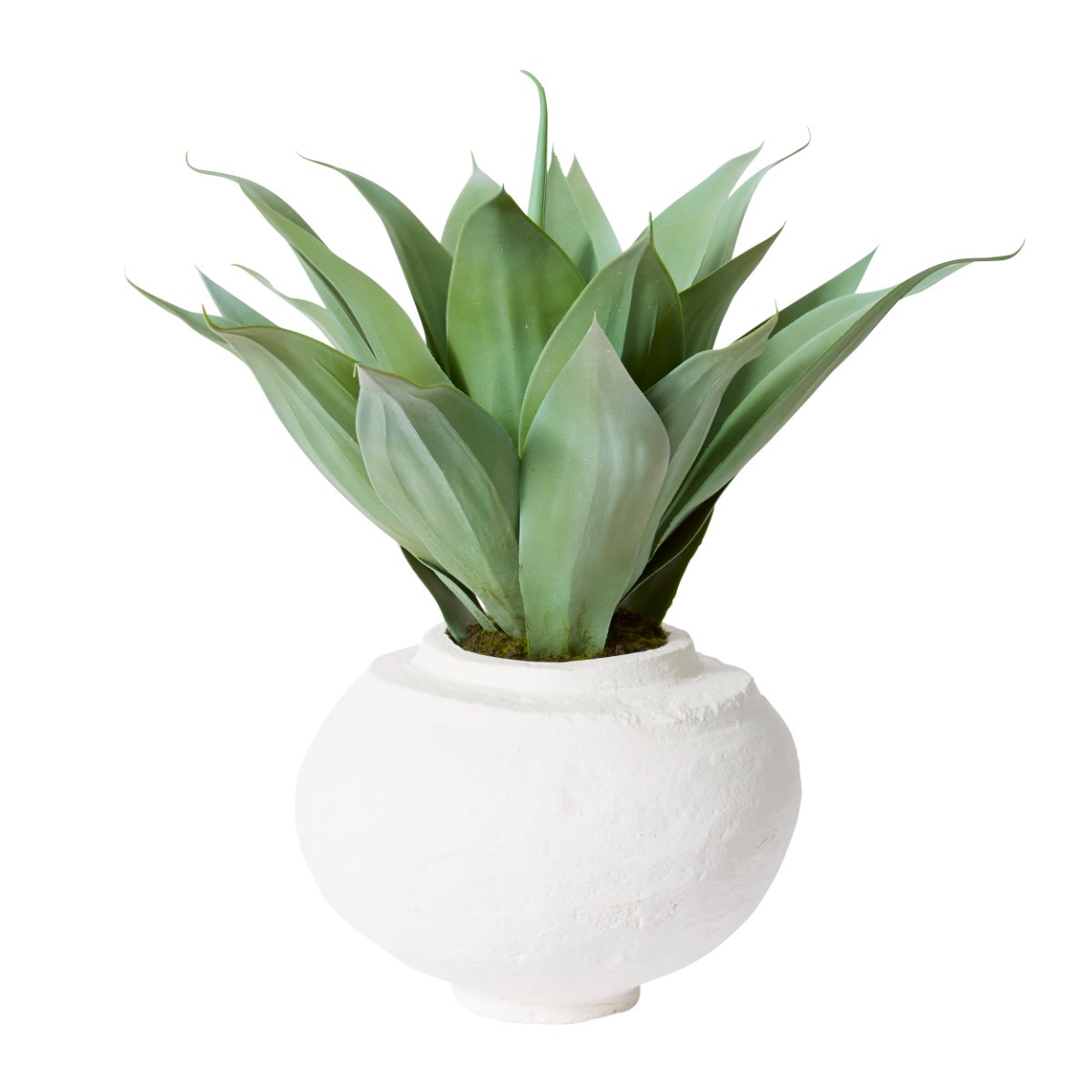 Agave Nomusa Paper Mache Vessel - 55cm color 68194202