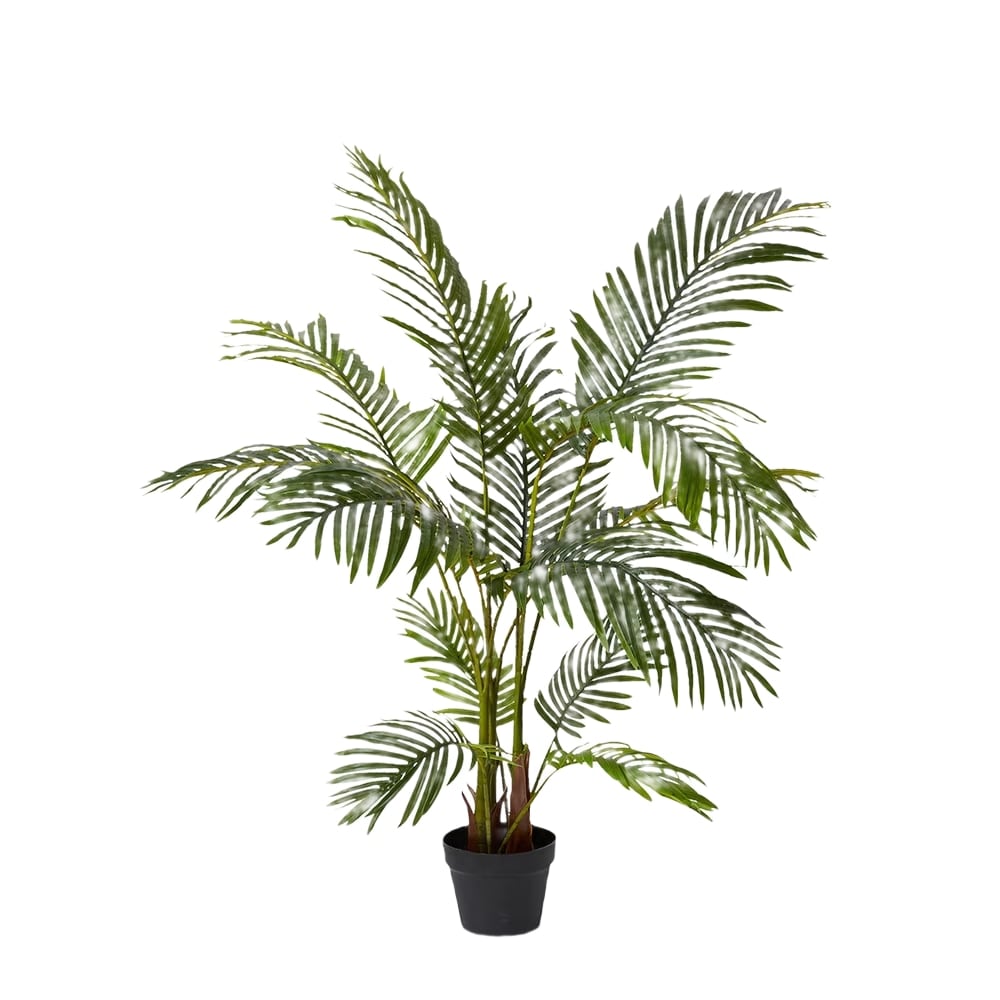 Areca Palm Potted Plant Green - 90cm x 90cm x 120cm color Green