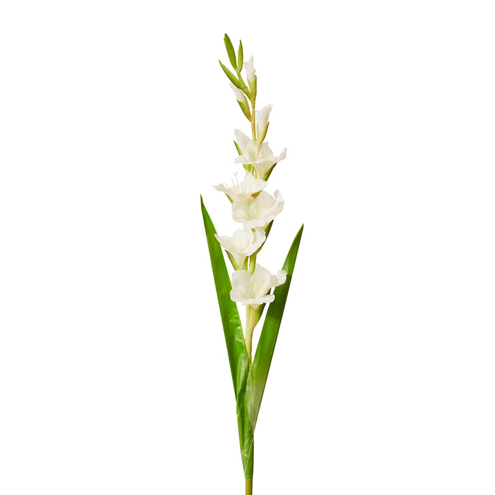 Gladiolus Stem - 13 x 8 x 106cm color 68194202