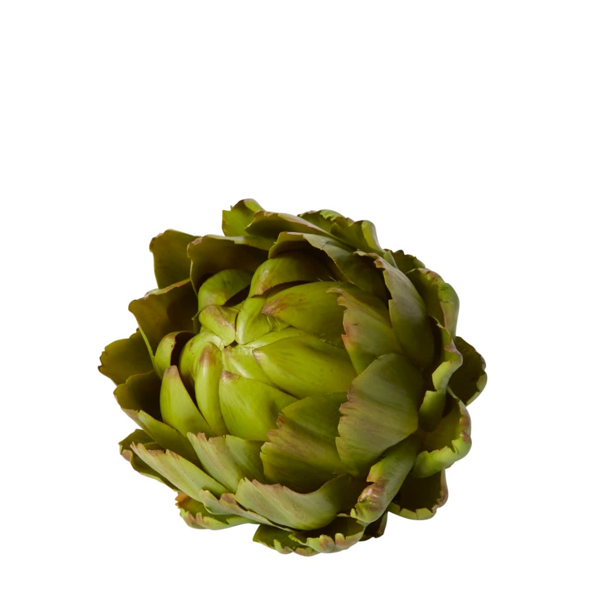 Artichoke Decorative color Green